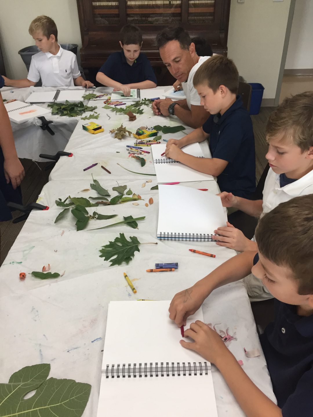 Classroom Leaf Project